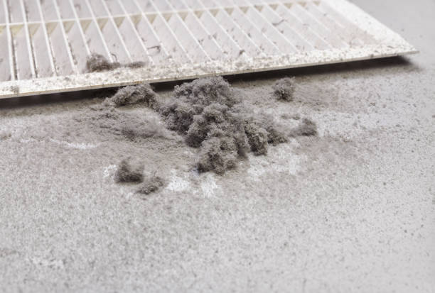 Best Best Air Duct Cleaning Company  in Whitemarsh Island, GA
