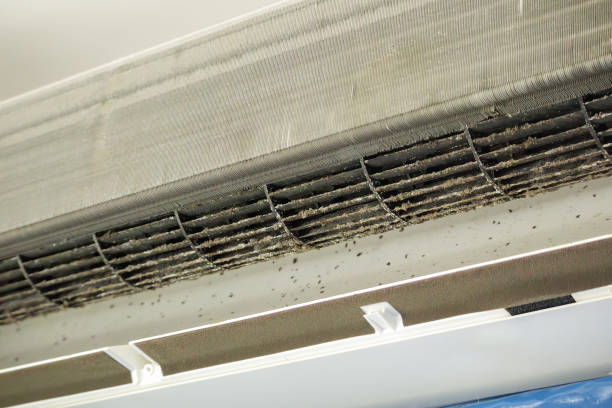Best Dryer Vent Cleaning Services  in Whitemarsh Island, GA